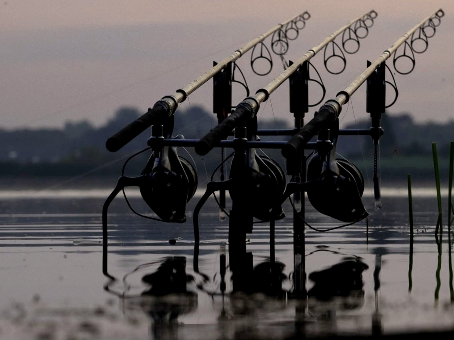rod shoot from under stage Three Code Rods carp fishing rods set up over a lake at dusk Copy